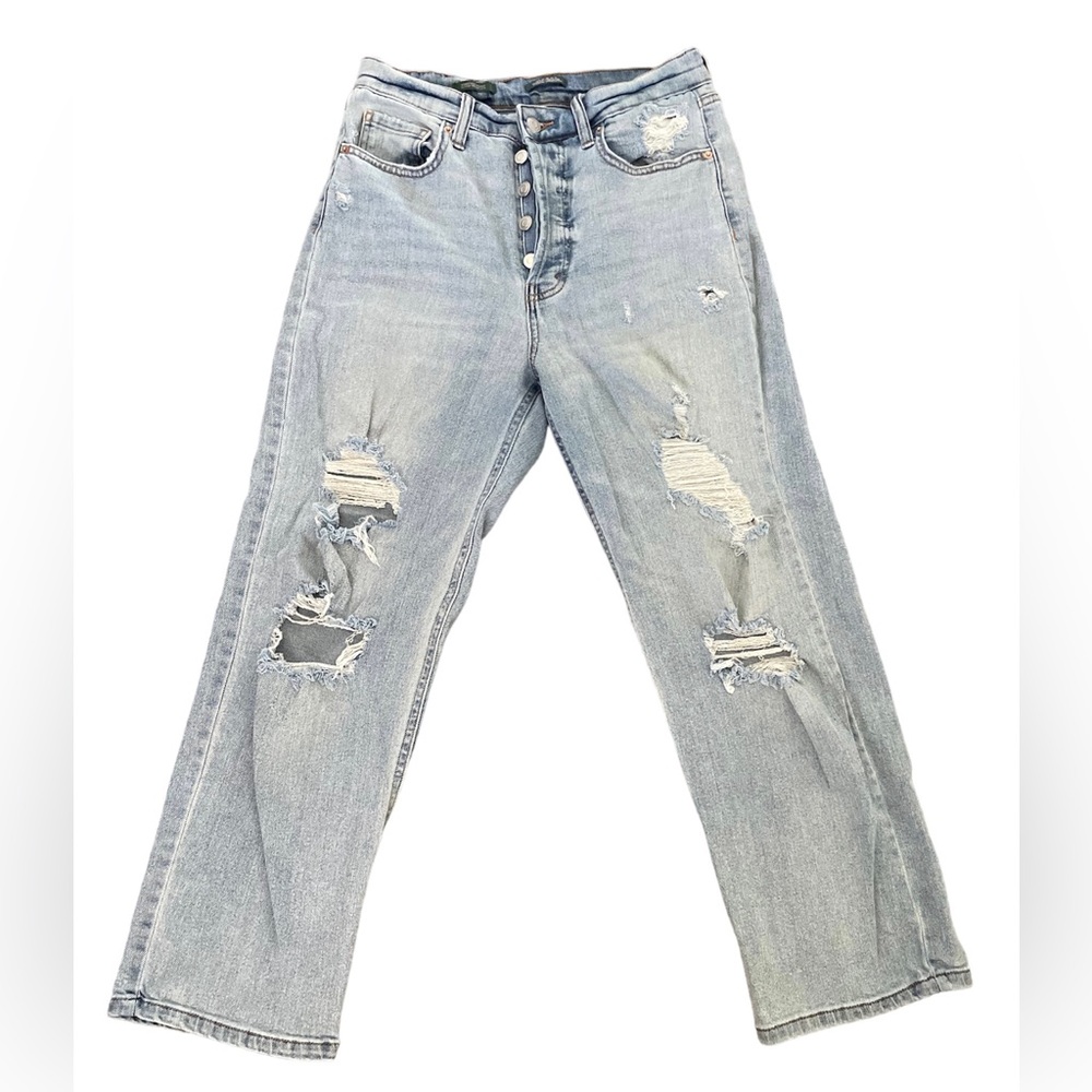 Wild Fable Distressed Jeans